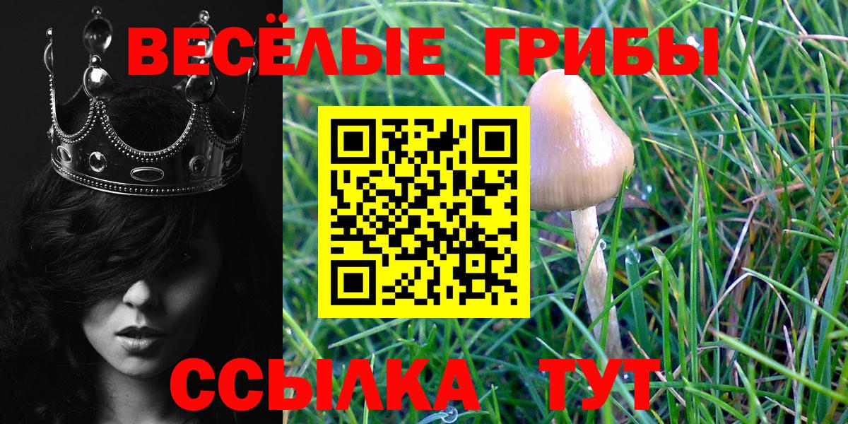 Псилоцибиновые грибы мицелий Ачинск